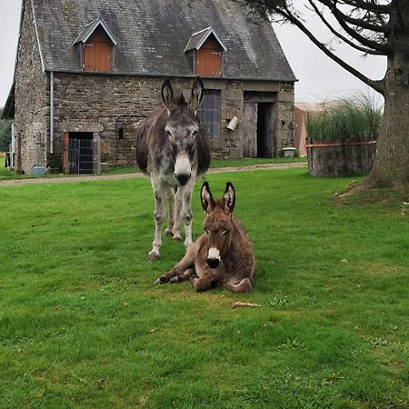 La Billardiere Camping A La Ferme Le Menil-Ciboult 外观 照片