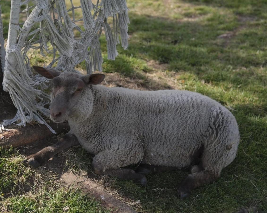 La Billardiere Camping A La Ferme Le Menil-Ciboult 外观 照片