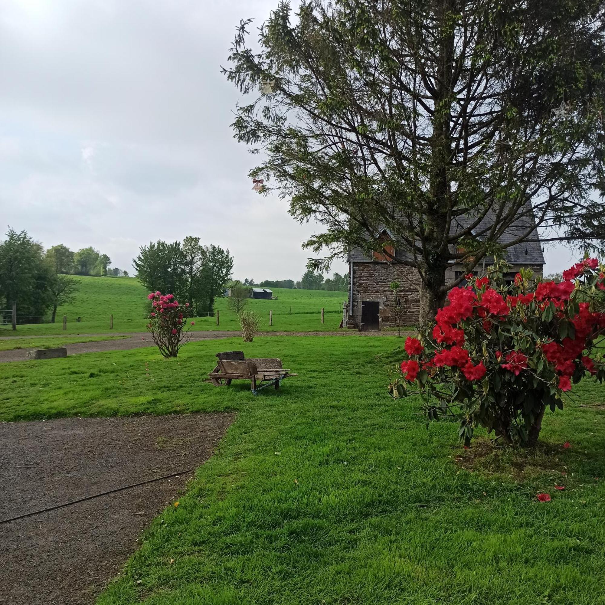 La Billardiere Camping A La Ferme Le Menil-Ciboult 外观 照片