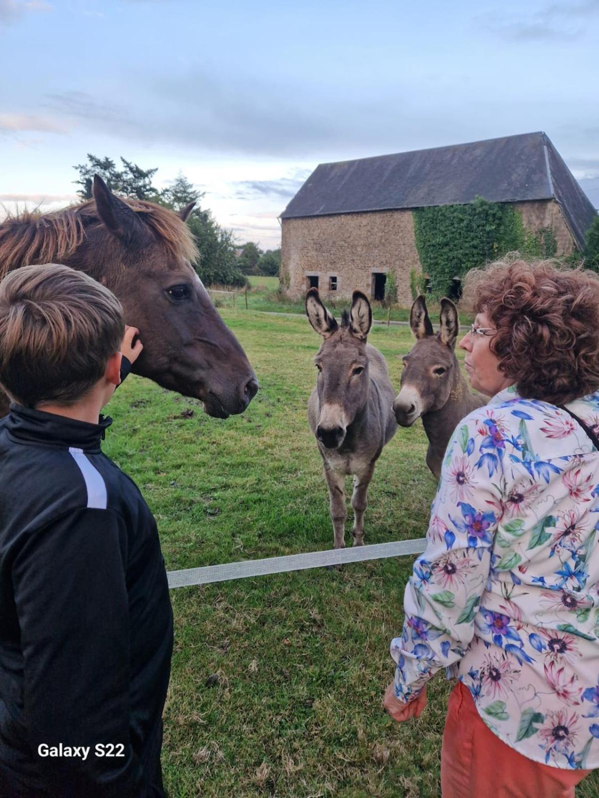 La Billardiere Camping A La Ferme Le Menil-Ciboult 外观 照片